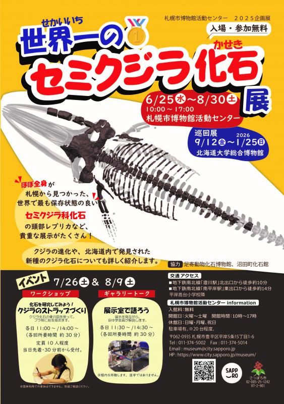北海道アンモナイト　ノジュール　化石　恐竜　体験学習　科学　イベント 北海道アンモナイト ノジュール 化石 恐竜 体験学習 科学