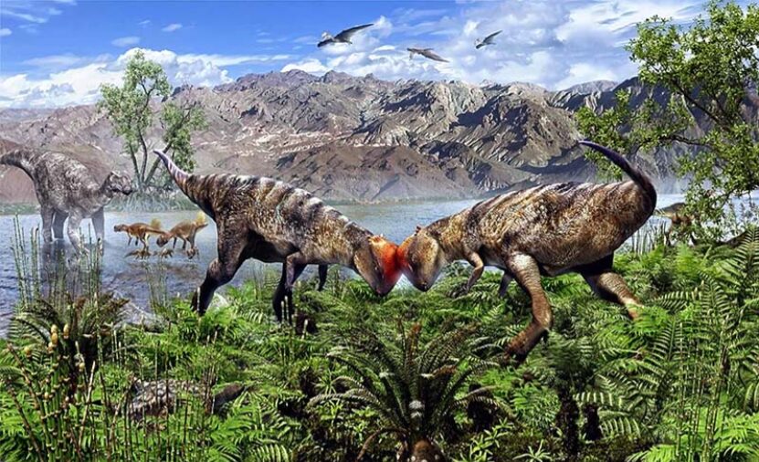 画像に alt 属性が指定されていません。ファイル名: a5b649e8af8d2fa10f4dec2fa6f391d7.jpg